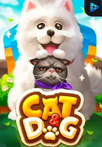 Cat&Dog